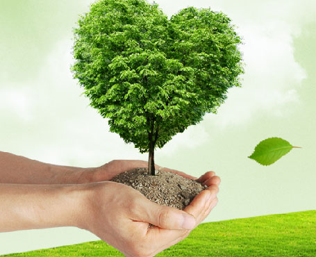 吉林天澤企業(yè)宣傳網(wǎng)站