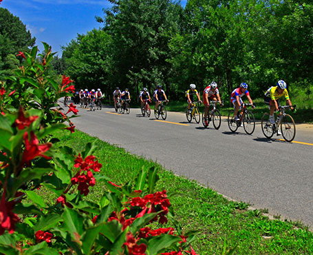 京西北旅游宣傳網(wǎng)站|一網(wǎng)天行-網(wǎng)站建設(shè)小程序APP系統(tǒng)軟件開發(fā)公司
