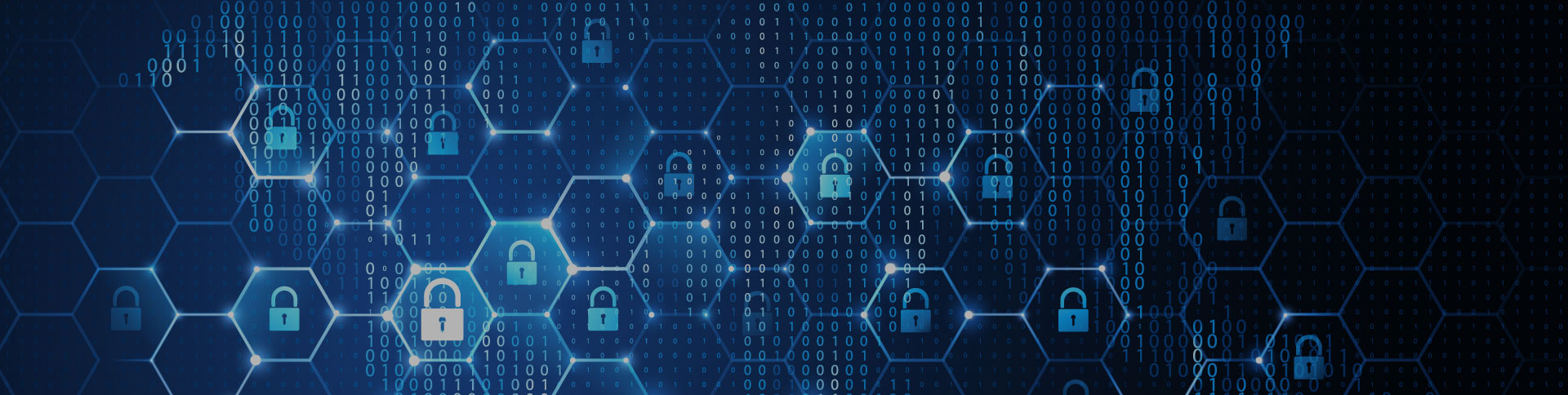 中盾智科企業(yè)網(wǎng)站|一網(wǎng)天行-網(wǎng)站建設小程序APP系統(tǒng)軟件開發(fā)公司